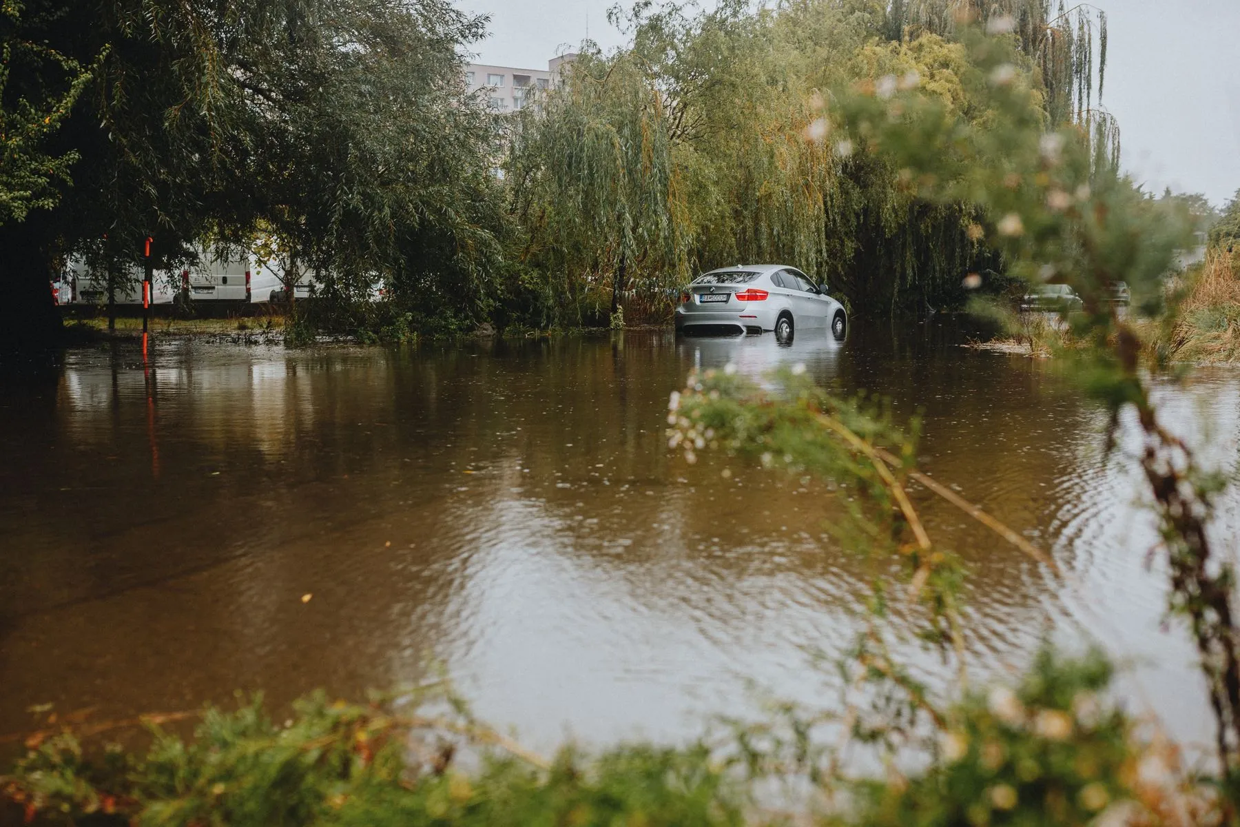 A silver car sitting in brown floodwater up to its doors, with trees behind it